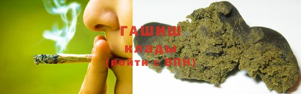 прущие грибы Нея