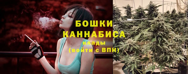 альфа пвп Нефтегорск