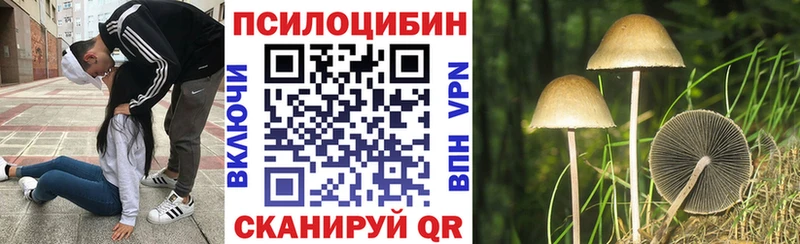 Галлюциногенные грибы Cubensis Петушки