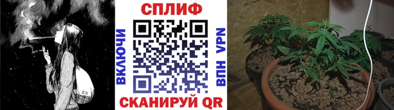 Конопля OG Kush  Петушки 
